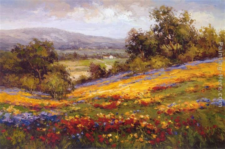 Hulsey Campo di Fiore I